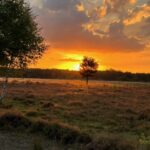 Vollemaanwandeling Gorsselse Heide