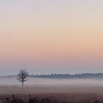 Help mee en laat de Gorsselse Heide verder groeien en bloeien