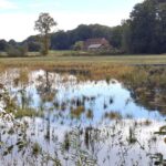 IVN Wandeling kampenlandschap Beekvliet